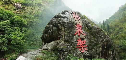 动物帮帮忙保卫家园